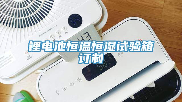 鋰電池恒溫恒濕試驗箱訂制