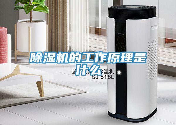 除濕機的工作原理是什么