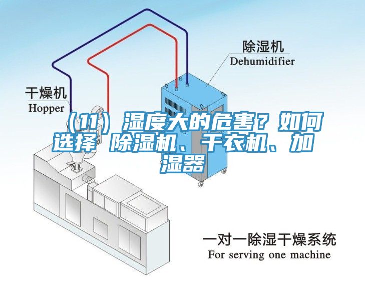 （11）濕度大的危害？如何選擇 除濕機(jī)、干衣機(jī)、加濕器